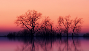 客房预订管理软件有哪些,客房预订系统