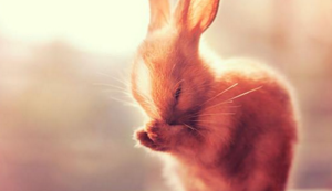 广东春节特色活动有哪些，广东春节有什么活动