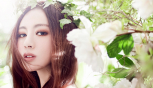 广东春节特色活动有哪些，广东春节有什么活动